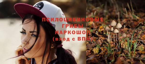 герыч Бородино