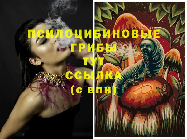 прущие крисы Богородицк